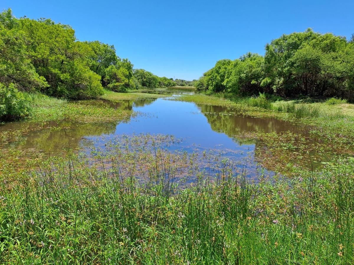 Ndlovu Log Home Dinokeng Klipdrift Eksteriør bilde