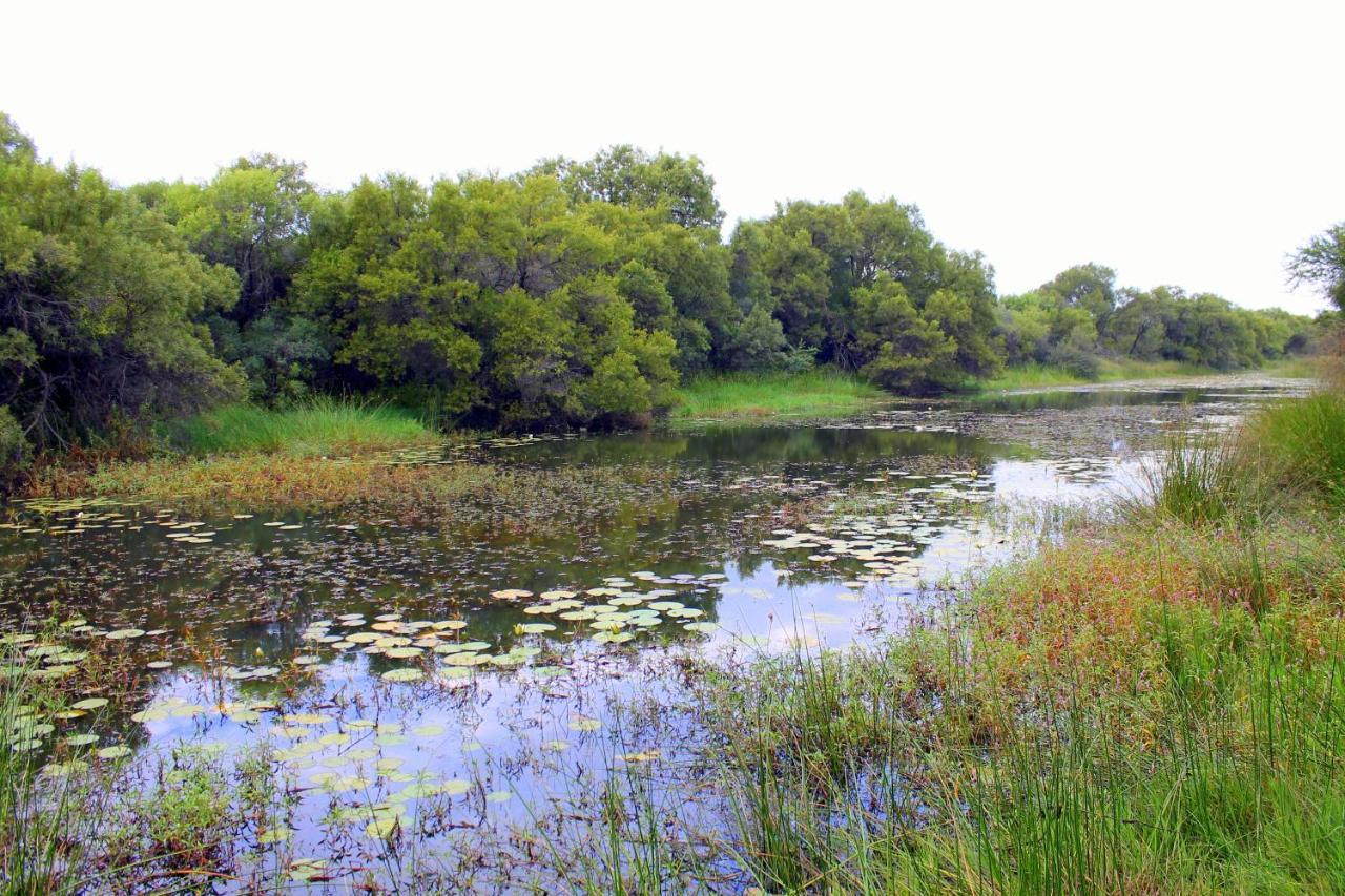 Ndlovu Log Home Dinokeng Klipdrift Eksteriør bilde